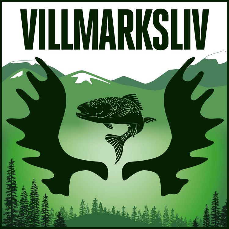 cover art for Villmarksrådet #22