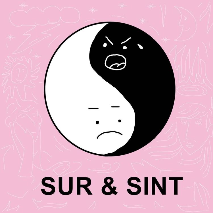cover art for Sur & Sint: 2016 reunion