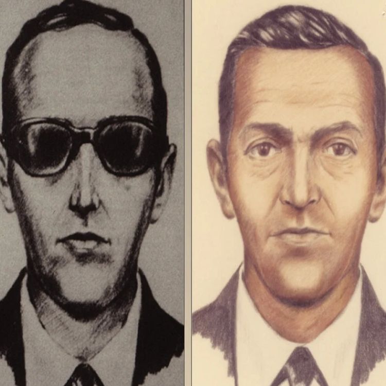 cover art for #20 Flykapringens gullalder