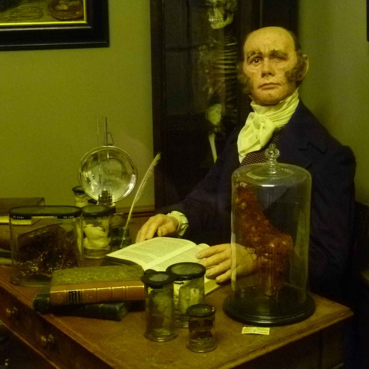 cover art for #27 Robert Knox og de to William´ene som skaffet lik