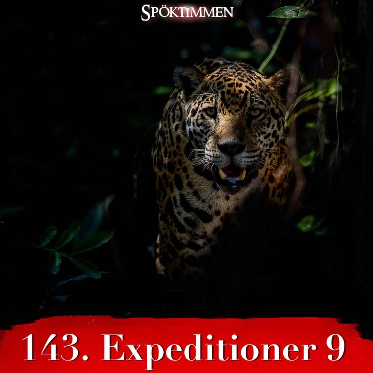 cover art for 143. Expeditioner 9