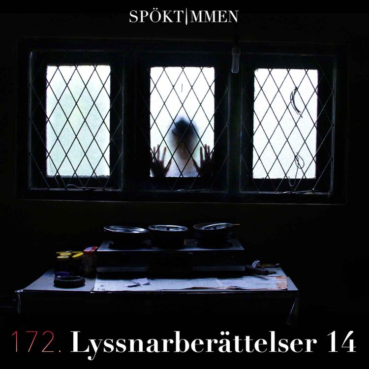 cover art for 172. Lyssnarberättelser 14