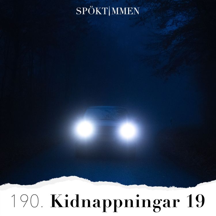 cover art for Kidnappningar 19