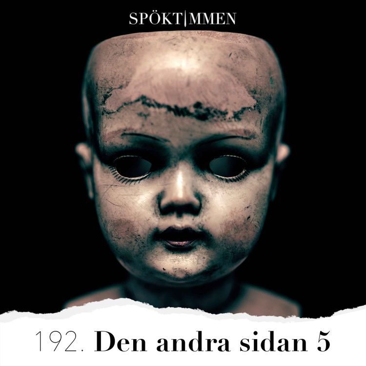 cover art for Den andra sidan 5