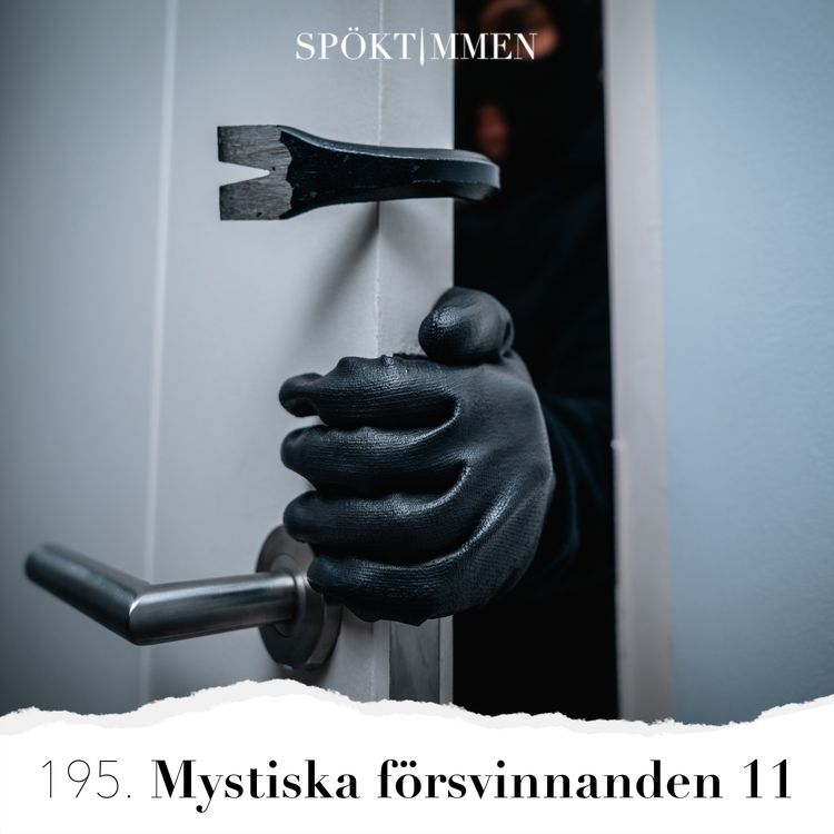 cover art for Mystiska försvinnanden 11