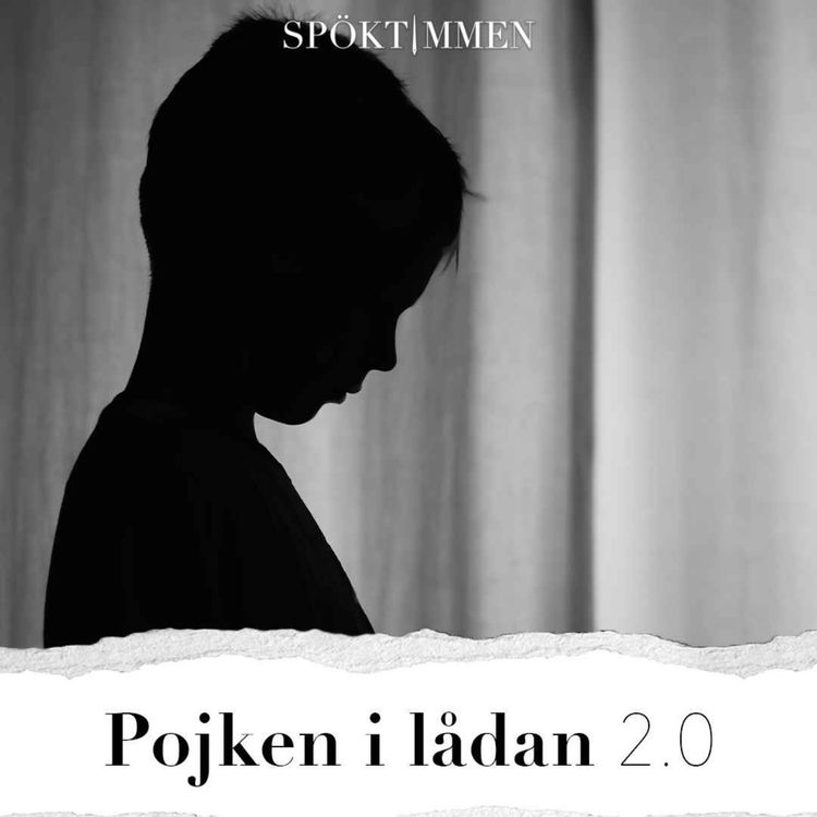 cover art for Pojken i lådan 2.0
