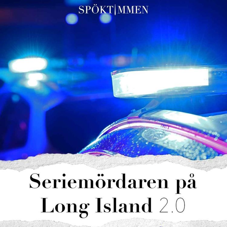 cover art for Seriemördaren på Long Island 2.0 – Del 2