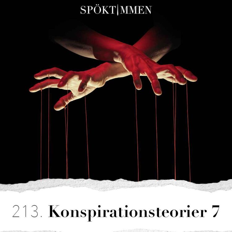 cover art for 213. Konspirationsteorier 7