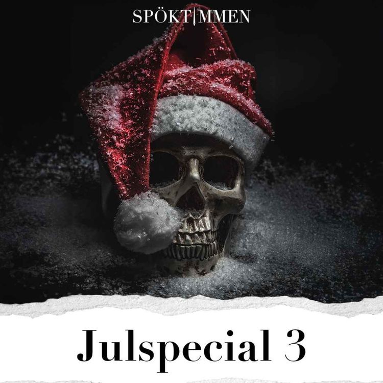 cover art for Julspecial 3