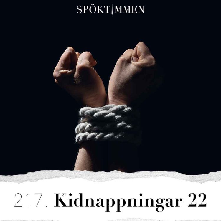 cover art for 217. Kidnappningar 22