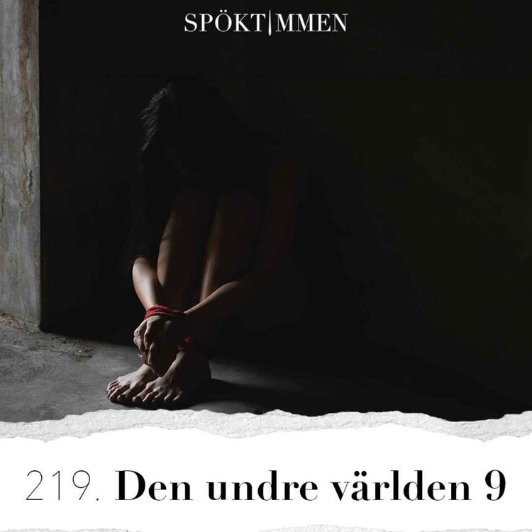 cover art for 219. Den undre världen 9