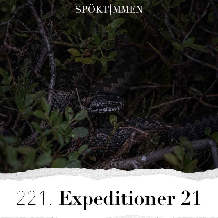 cover art for 221. Expeditioner 21