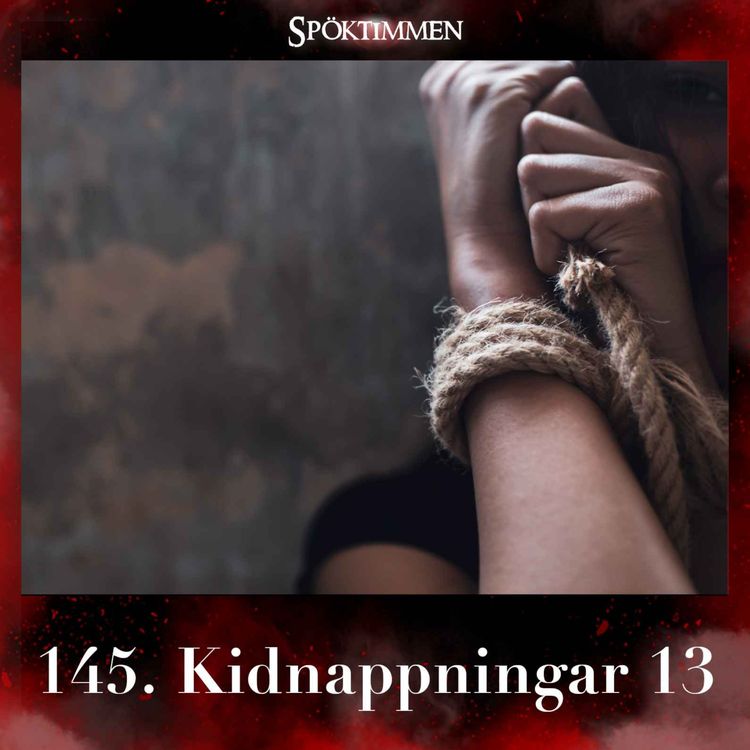cover art for Kidnappningar 13 (REPRIS)