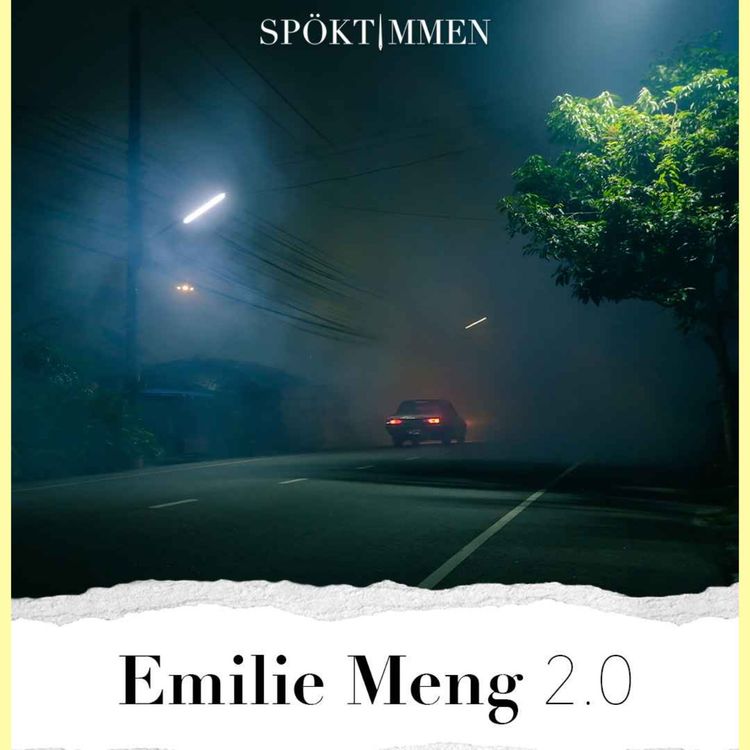 cover art for Emilie Meng 2.0