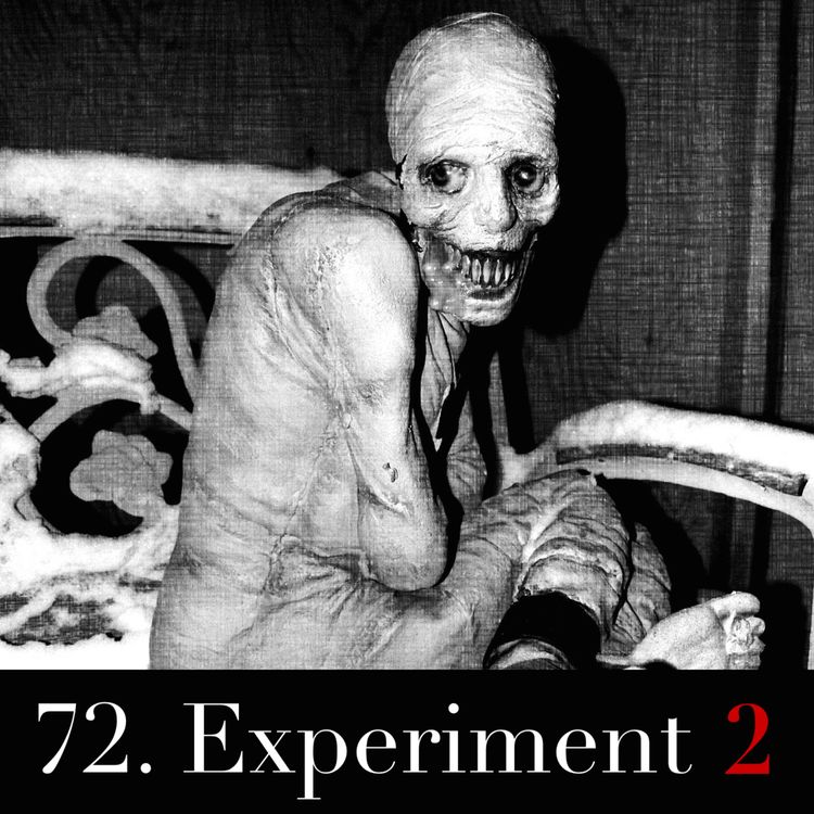 cover art for Experiment 2 (REPRIS)