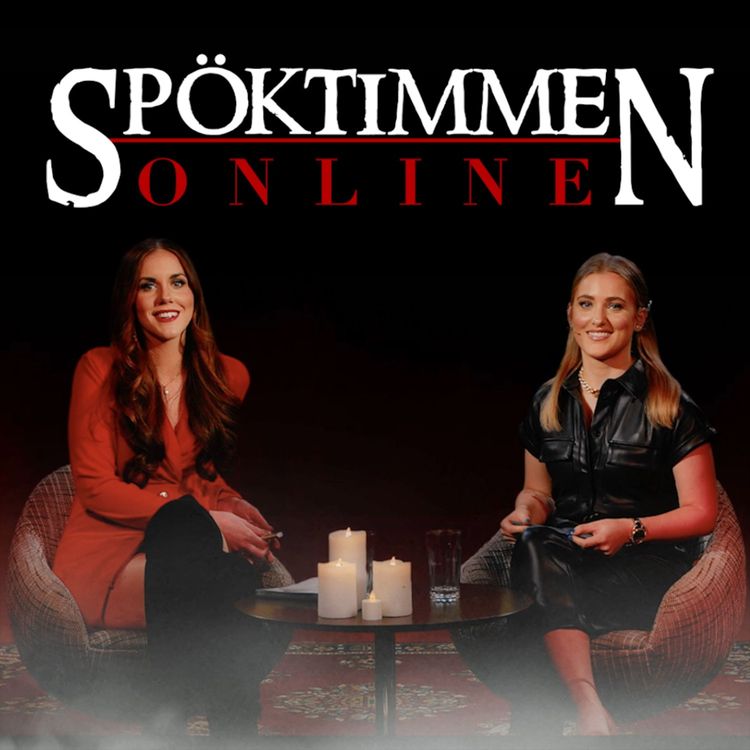 cover art for SPÖKTIMMEN ONLINE