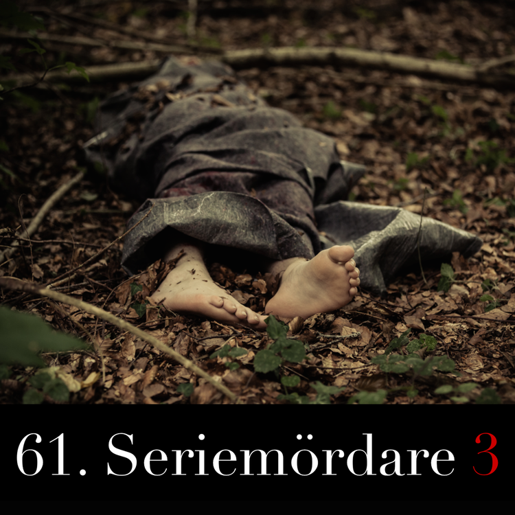 cover art for 61. Seriemördare 3