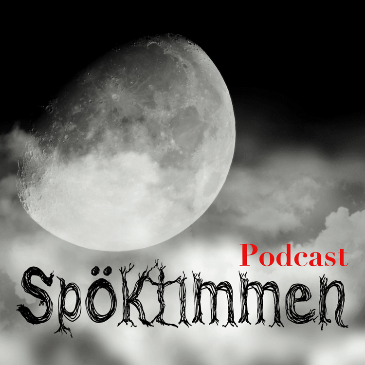 cover art for 27. Mystiska försvinnanden