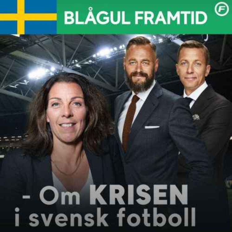 cover art for Omtagning – Blågul framtid avsnitt 6