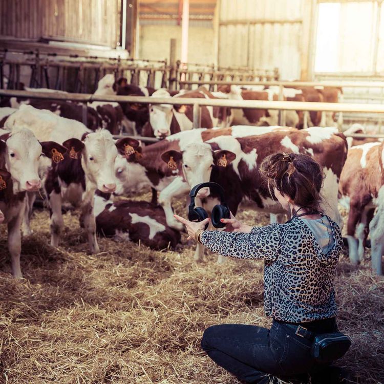 cover art for Rayonnante et Raffinée (épisode 1/4)