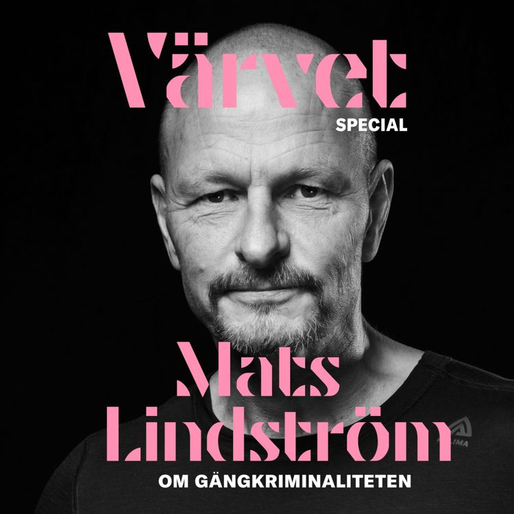 cover art for SPECIAL: Mats Lindström
