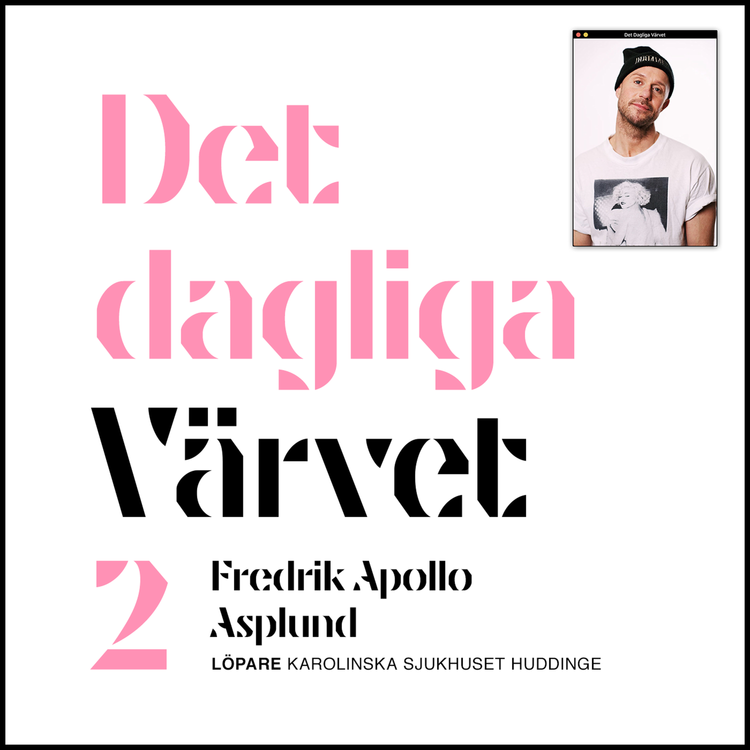 cover art for DET DAGLIGA VÄRVET #2 Fredrik Apollo Asplund