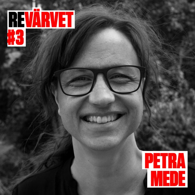 cover art for RV3: Petra Mede