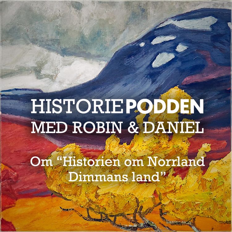 cover art for "Historien om Norrland del 1: Dimmans land" någon slags intervju