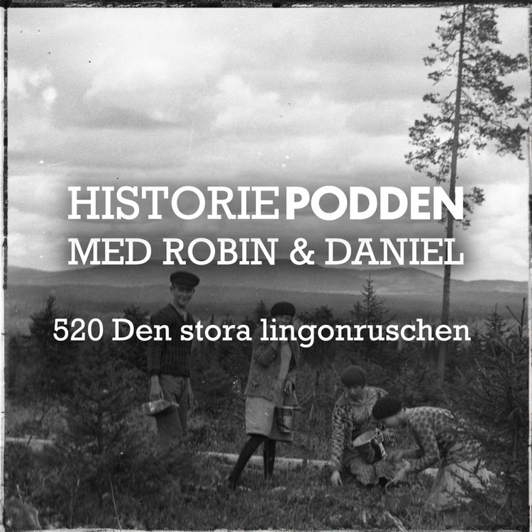 cover art for 520. Den stora lingonruschen