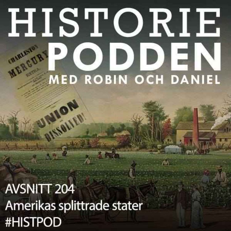 cover art for Ur arkiven: Amerikas splittrade stater (nr 204)