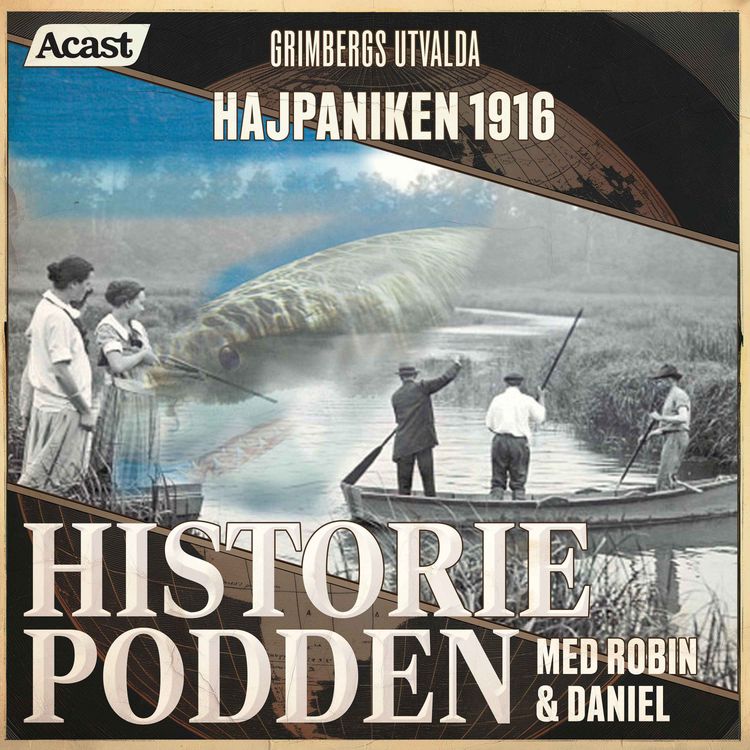 cover art for Hajpaniken 1916 - Grimbergs utvalda