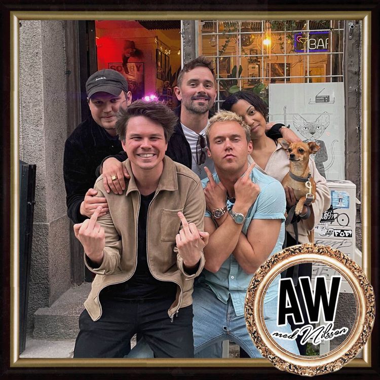 cover art for AW MED NILSSON - PILOT