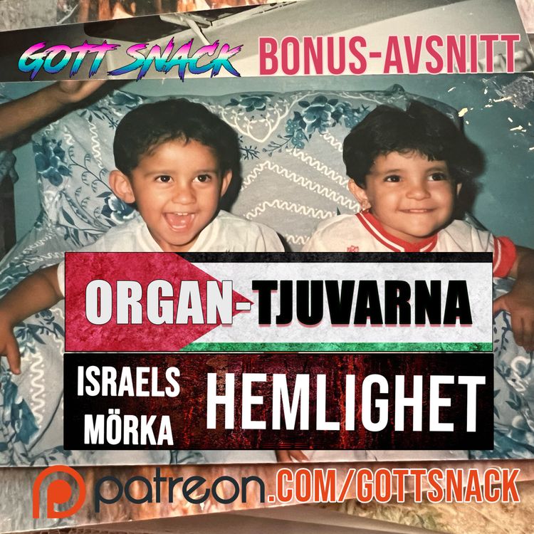cover art for Organ-tjuvarna 