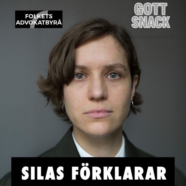 cover art for Silas förklarar: Demonstrationsfriheten äts upp från två håll