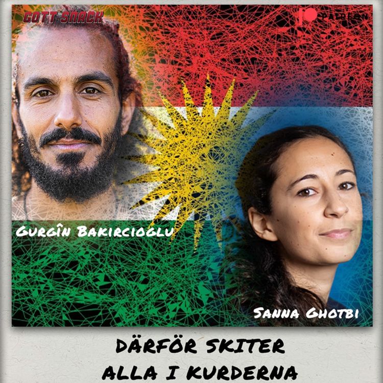 cover art for Därför skiter alla i Kurderna