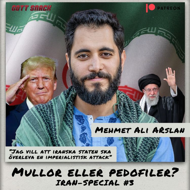 cover art for Mullor eller pedofiler?
