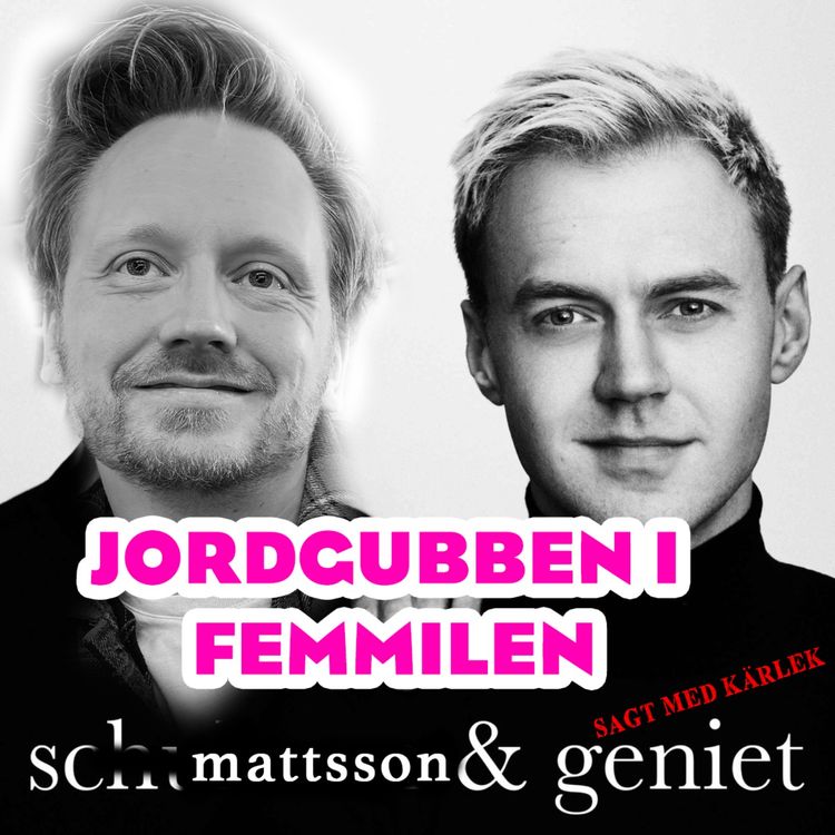 cover art for 6. Jordgubben i femmilen