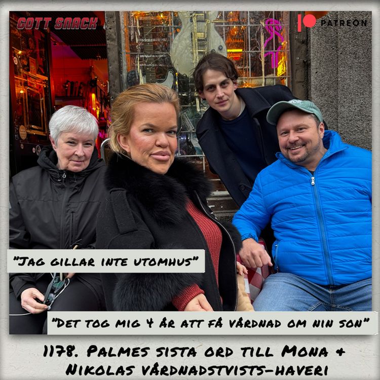 cover art for 1178. DEL 2: Palmes sista ord till Mona & Nikolas vårdnadstvists-haveri 