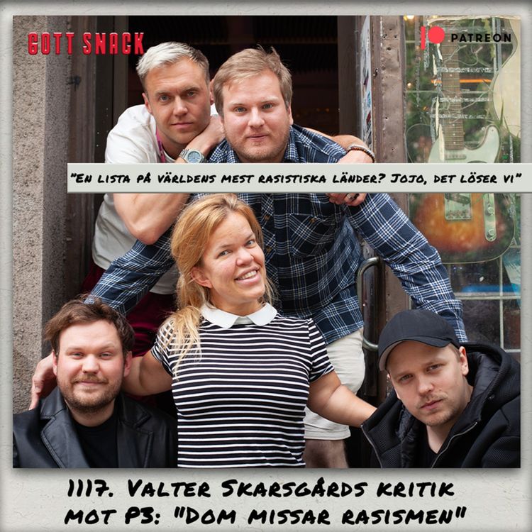 cover art for 1117. DEL 2: Valter Skarsgårds kritik mot P3: "Dom missar rasismen"