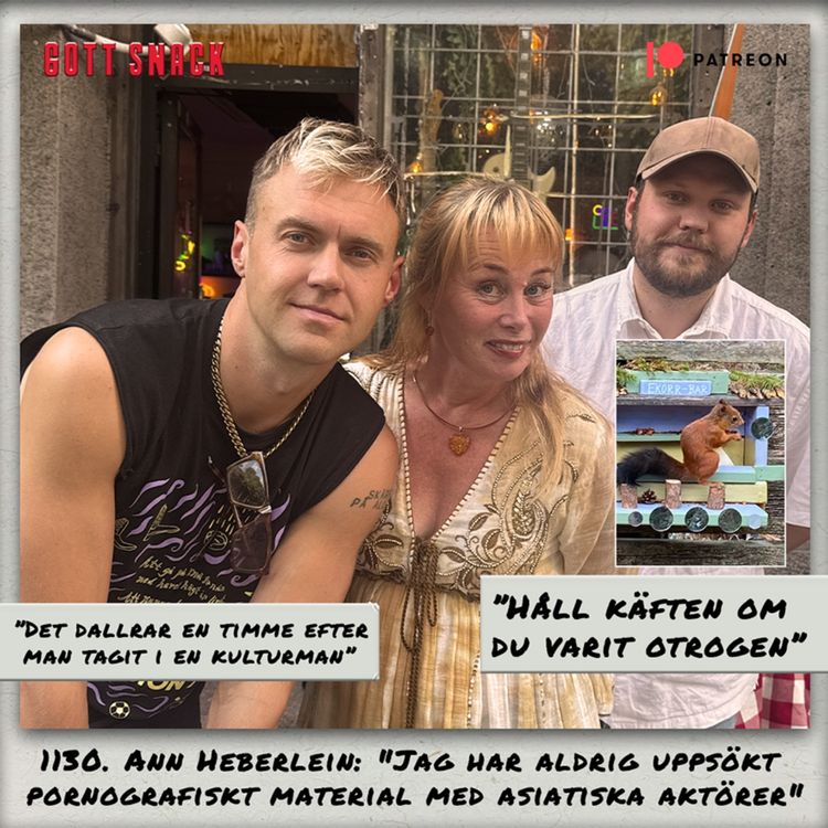 cover art for 1130. DEL 1: Ann Heberlein: "Jag har aldrig uppsökt pornografiskt material med asiatiska aktörer"