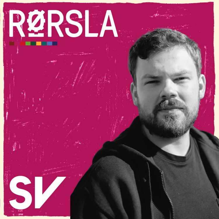cover art for Skal jeg stemme SV?