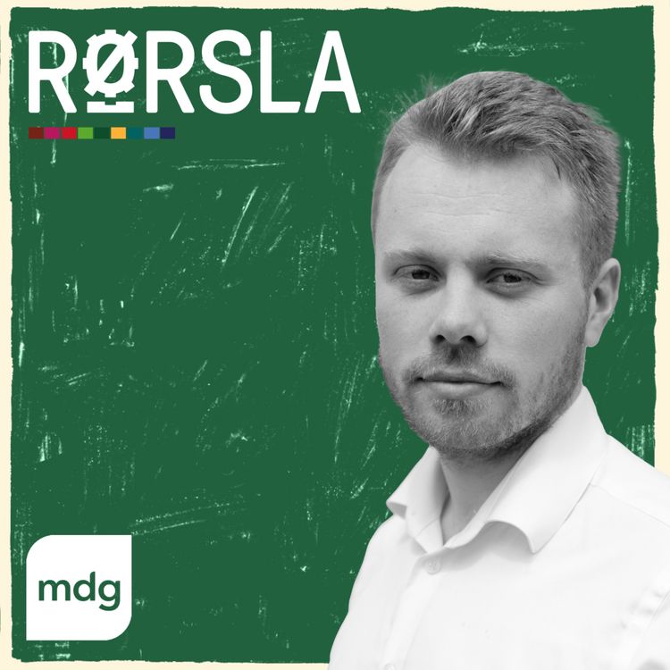 cover art for Skal jeg stemme MDG?