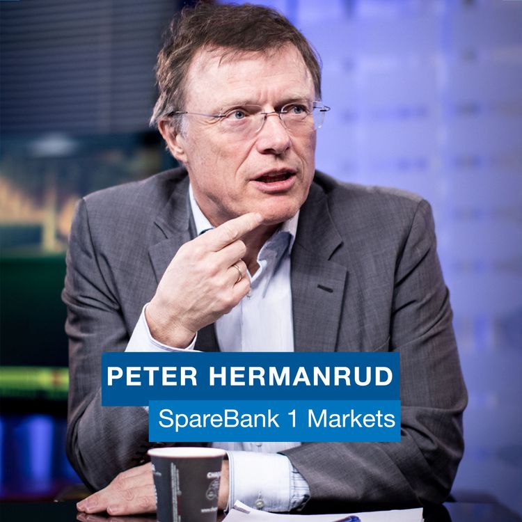 cover art for Hermanrud: - På tre dager og tre år dette en god mulighet – på tre måneders sikt er jeg mer usikker