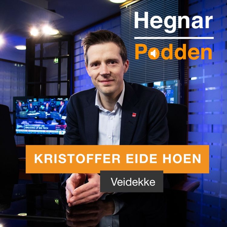 cover art for - Ikke ille, men skulle nok gjerne sett mer vekst, Kristoffer Eide Hoen / Veidekke