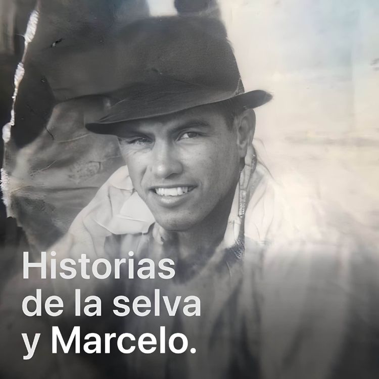 cover art for Marcelo y la serpiente