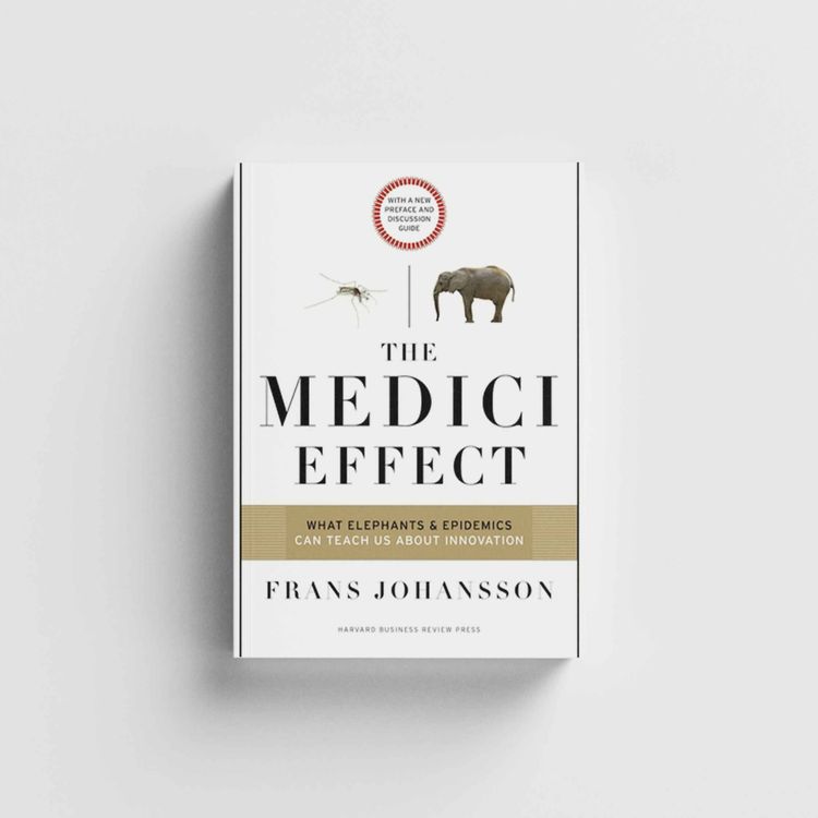 cover art for The Medici Effect