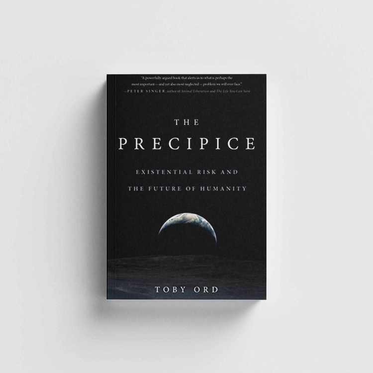 cover art for The Precipice