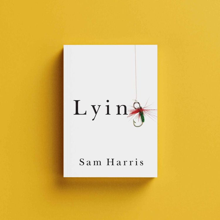 cover art for Lying