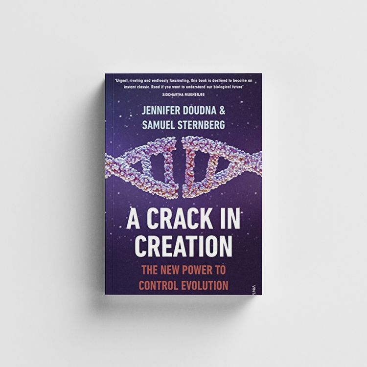 cover art for A Crack In Creation