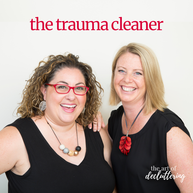 cover art for The Trauma Cleaner